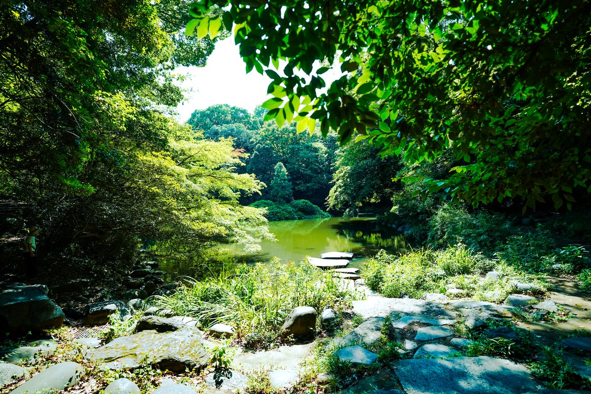 Sanshiro Pond, Hongo Campus